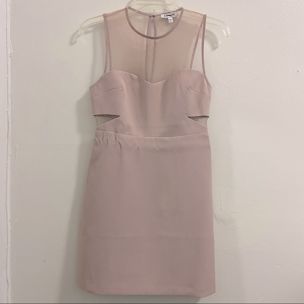 EXPRESS Pink Sheer Mesh Pieced Mini Dress